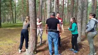 Тест