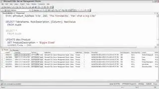 SQL Server  Auditing Data Changes