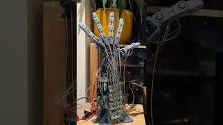 7 Years of Designing my Bionic Hand #engineering #3dprinting #robot