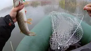Ловля щуки осенью на Воблер ZipBaits Orbit