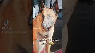 Belə kofe içmək olar??