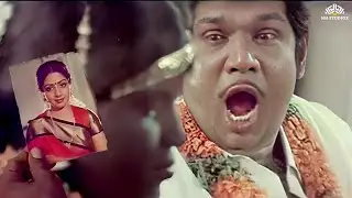 என்னங்கடா ஸ்ரீதேவி கேட்டா யானைக்குட்டி கட்டிவச்சிட்டீங்க