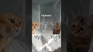 😂Муж с женой о РЕМОНТЕ!