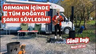 Serkan ÇEVİK - Gönül Dağı (Cover) live