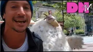 Andy Milonakis and Dirt Nasty - Freestyling With Chicken in SF