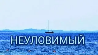 #90 Как ловить крабов просто . Отдых и рыбалка в Албании. Saranda. Mucobega beach. Crab catching.