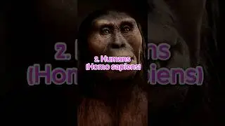 Top 10 Most Dangerous Animals In the World 😱😱#top10 #animals #dangerous #eliphent