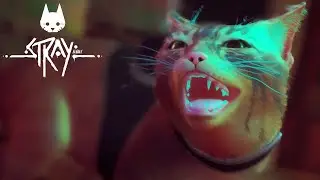 ネットで大流行中の「 自分が猫になって 」危険な世界を冒険するゲーム『 Stray 』#3