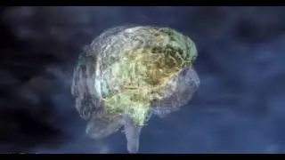 Галактика-Человек