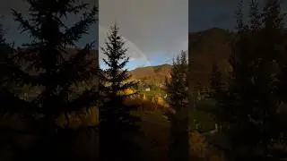 Dreamy #fall in Colorado