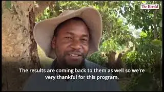 Screening and treating women for HPV and precancerous cervical cancer in Zimbabwe