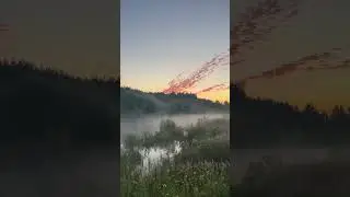 Рассветы в деревне близ леса #nature #лайфблог #деревня #деревенскаяжизнь