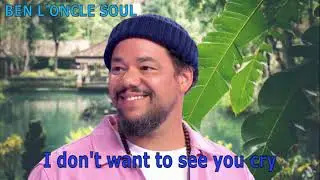 Ben L'Oncle Soul (live)