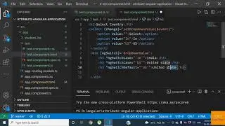 switch in angular | switch in angular 8