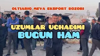 ОЛТИАРИҚ МЕВА ЭКСПОРТ БОЗОРИ.2024.10.25