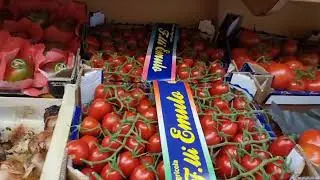 الخضر والفواكه +التجارة الحرة في الغربة 🍎🍒🍊🍐🥑🍆🥕🍅