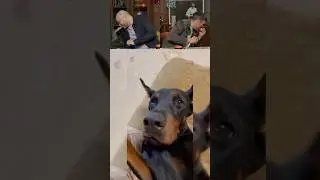 Я РЖАЛ ВЕСЬ ДЕНЬ! 🤣😅 
