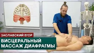 Visceral massage of the diaphragm. Egor Zaslavsky
