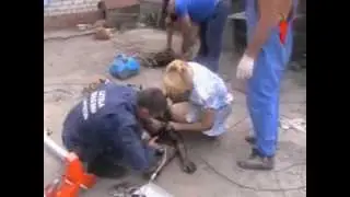 Задохнулись в колодце