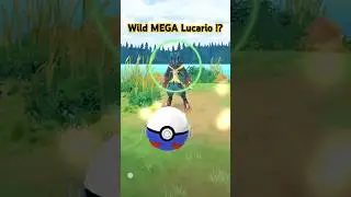 Pokemon Go Gives me GREAT LUCK.... or not. #pokemon #shorts #comedy