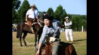 Jineteada 2011