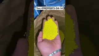 Беда урклари 2023 йил бойи📏 1 метрдан 1,20 см гача болади.☘️☘️