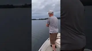Loons on the Lake out #fishing