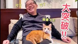 貓孫賴著不走？阿公捨不得離開～救郎喔！｜傲嬌爸的養貓日常