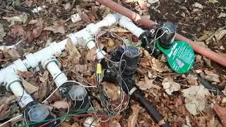 Fast, Cheap, and Easy Irrigation for your Fruit Trees!
