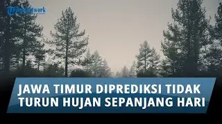 Prakiraan Cuaca di Jawa Timur pada Hari Jum'at, 1 November 2024