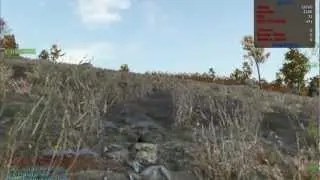 DAYZ BUG!