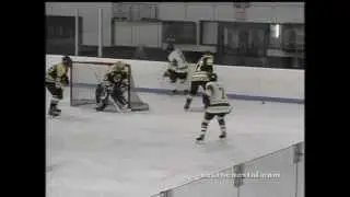 SCHL Whalers vs Stingers 01/20/13