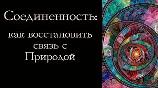 Соединенность: как восстановить связь с Природой?