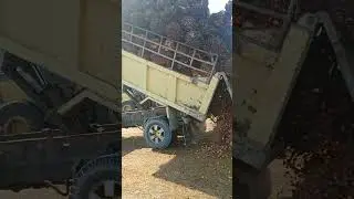 truck truck viraall skill jumping #shorts