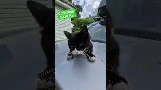 Каркас почти готов! 