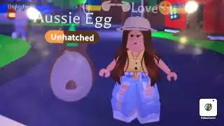 Трейд на Aussie Egg. Что дадут
