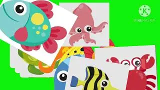 Sea animals on green screen 