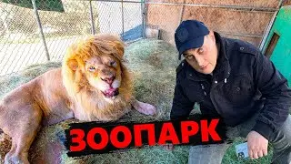 Толя Солома культурный вечер в ЗООПАРКЕ Люксембурга