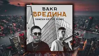 Bakr - Вредина (Ramzan Abitov Remix)