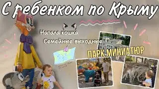Поездка с ребенком || напала кошка || семейные выходные