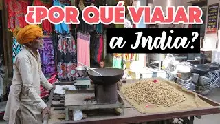 Why travel to India?