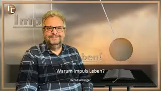 il warum impuls leben