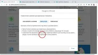 Skill #10 Designer's Mindset - Salesforce Admin Skills Kit