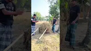 হালায় কামডা করলে কি 😁😅