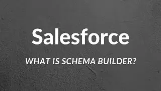 Salesforce: Schema Builder Tutorial