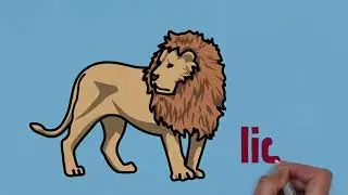 Animal Vocabulary In English | Từ Vựng Các Con Vật Bằng Tiếng Anh