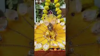 7 September 2023 #janmashtami #krishna #krishnabhajan #viral #viralvideo