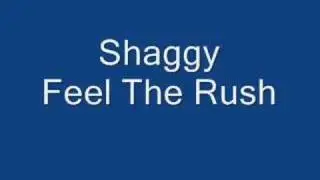 Shaggy - Feel the rush (official song euro 2008)