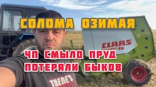 claas 46 солома озимая