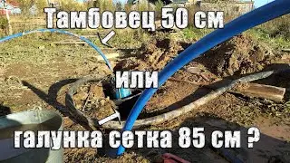 Абиссинка после неудачной попытки скважины под погружной насос. Песок есть на участке не везде.